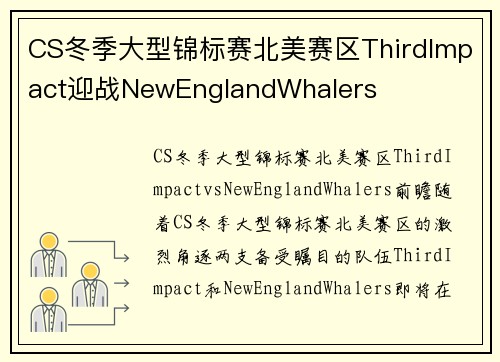 CS冬季大型锦标赛北美赛区ThirdImpact迎战NewEnglandWhalers